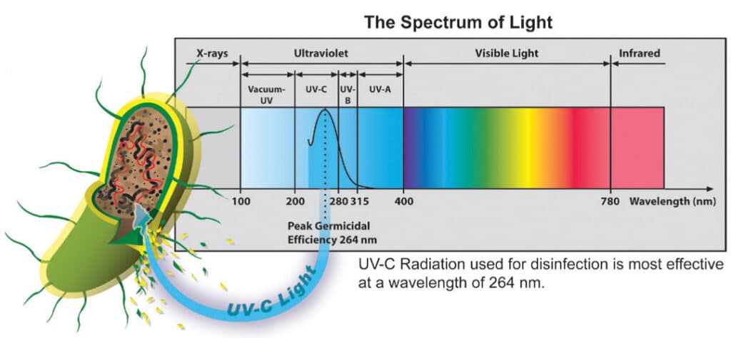 explanation of how uv light spectrum destroys bacteria and viruses to keep coils clean and improve HVAC energy efficiency.